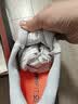 SAUCONY【彭于晏同款】索康尼胜利22专业强缓震跑鞋男厚底跑步鞋运动鞋男 白深兰218 42.5 实拍图