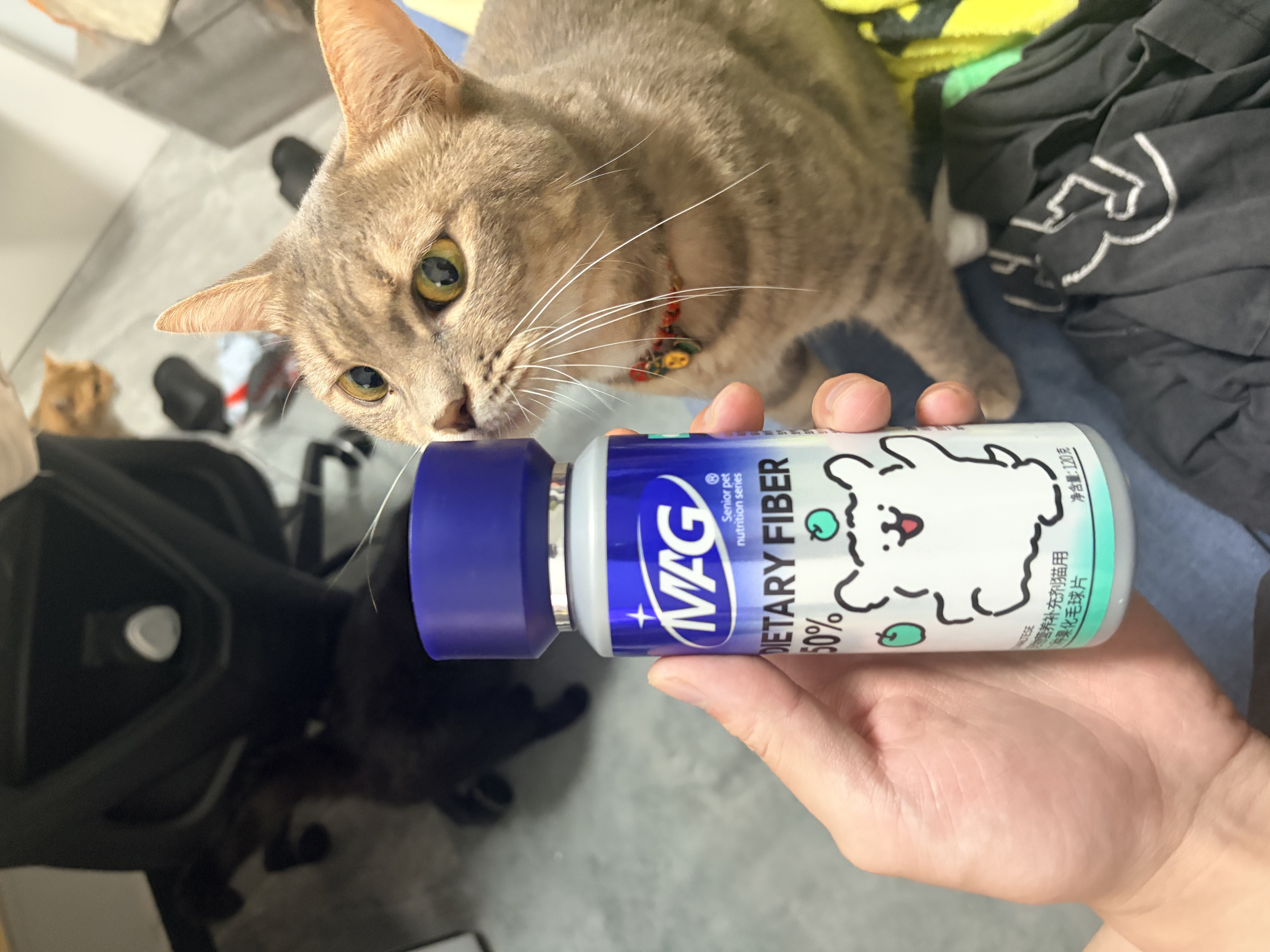 诚实一口P40全价猫粮成猫幼猫室内外80%鲜肉高蛋白益生菌养胃乳鸽味12kg 实拍图