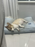 皇家狗粮 柯基成犬狗粮 犬粮 宠物中型犬全价粮CGA25 7KG【骨骼呵护】 实拍图