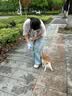 里奈の零食山姆休闲零食大礼包送女友零食休闲小吃成人解馋小零食礼盒60包 实拍图