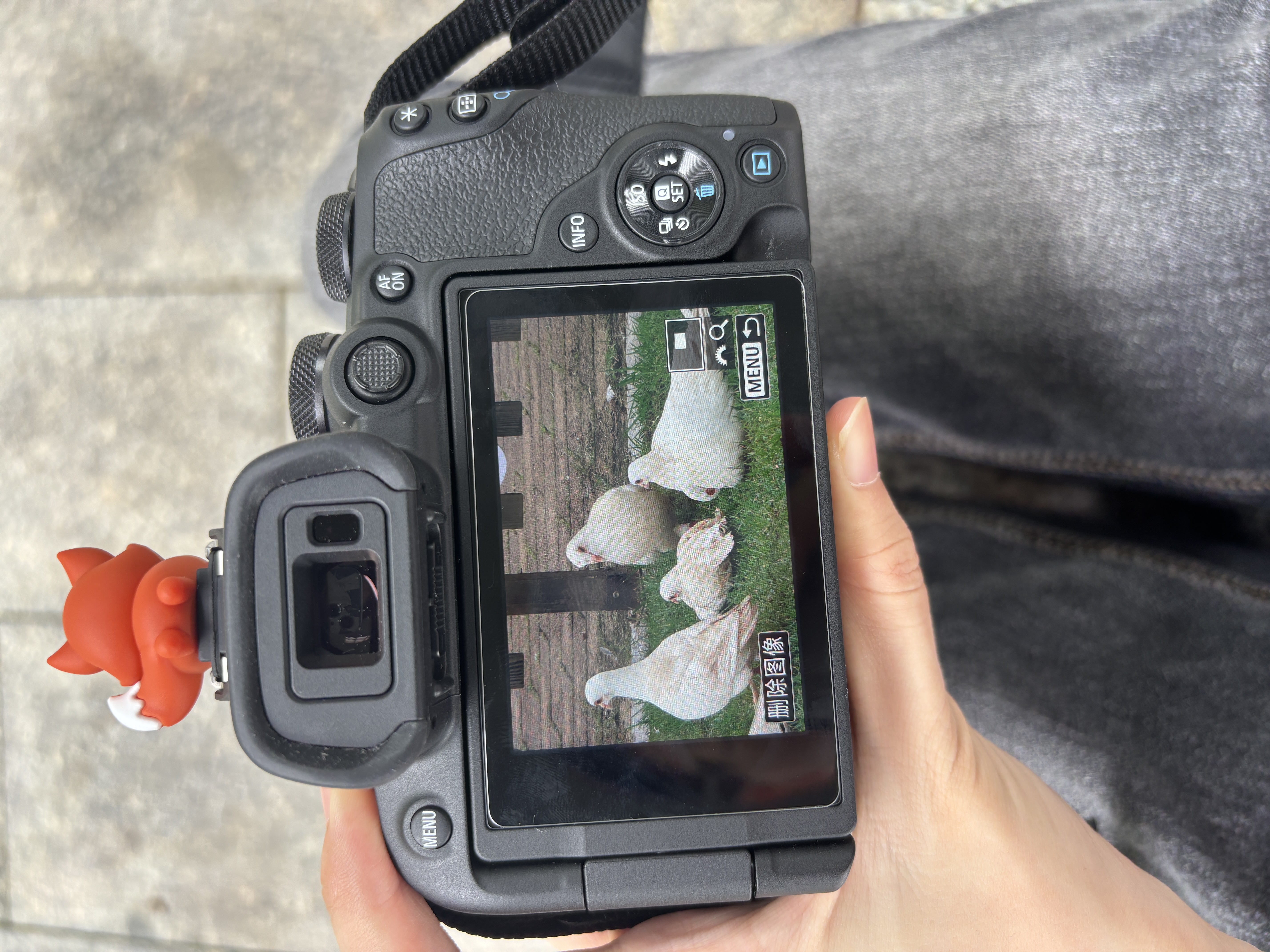 佳能r10 微单相机 轻量小型 APS-C画幅 eos r10 高速连拍 踏青 旅行 学生入门级 专业vlog数码照相机 R10 18-45标准变焦镜头套装【日常家用】 套餐一【升级128G内存卡~送 实拍图