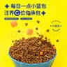 冠能狗粮小型犬成犬狗粮60g*3 挑食美毛亮眼 全价狗粮 实拍图
