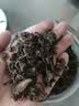 方家铺子X京觅梅干菜500g/瓶装干净少沙干货火锅梅菜扣肉下饭菜 实拍图