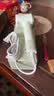 松下（Panasonic）高速护发吹风机速干负离子电吹风家用不伤发送女友生日礼物小森林春光绿EH-NE6L 实拍图