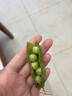 中鲜生 云南新鲜豌豆 甜豌豆新鲜蔬菜现摘豆角 净重4.5斤【好划算】鲜嫩饱满 实拍图