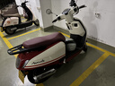 沙宣大红瓶水润去屑500g洗发水去油柔顺洗头膏洗发露 实拍图