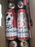 百威【哈兰德同款】世界杯珍藏版啤酒【40周年限定】500ML*12听礼盒 实拍图