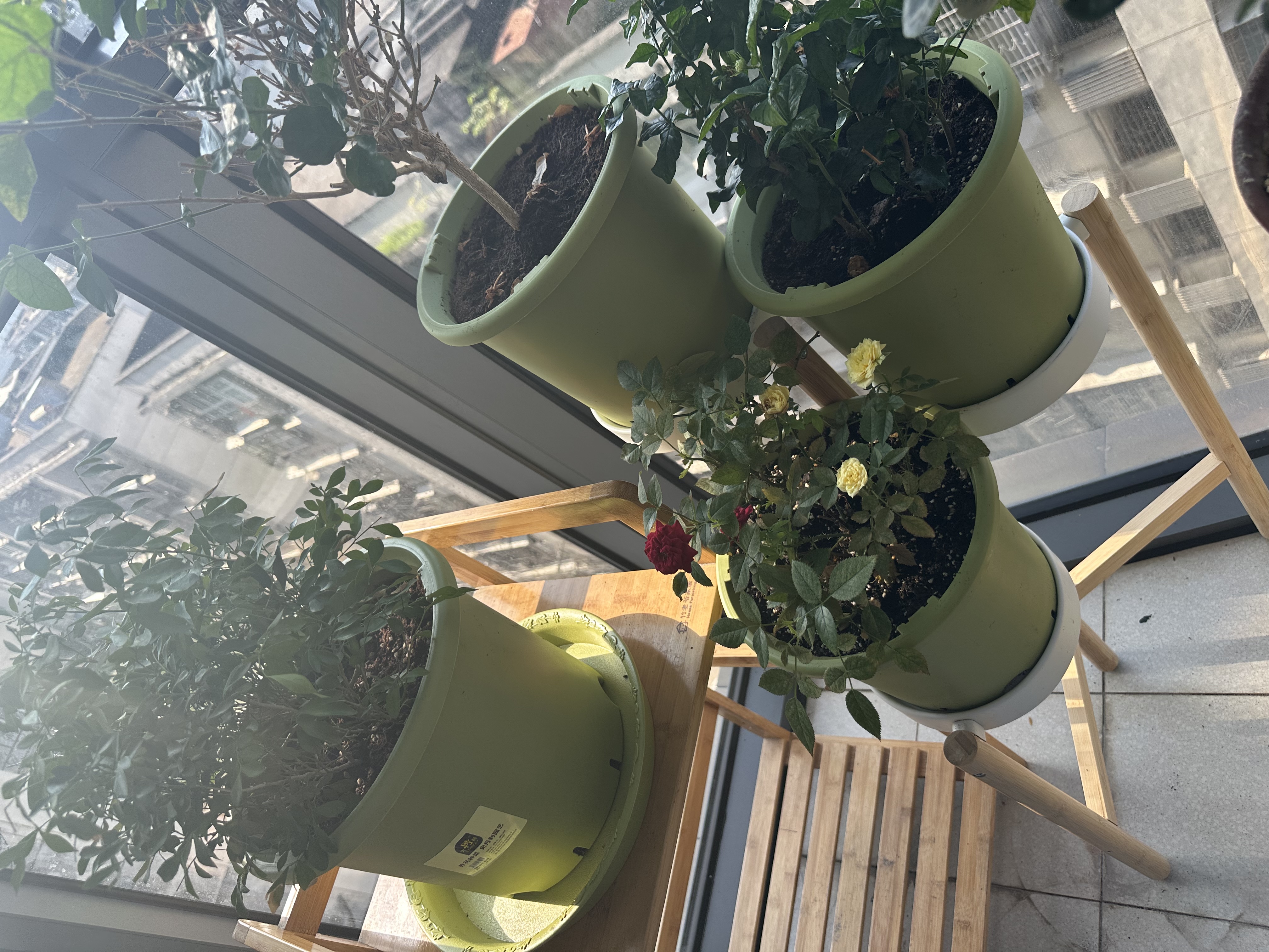 史丹利花盆家用树脂塑料盆栽加厚多肉月季阳台庭院加仑盆苹果绿高197mm 实拍图