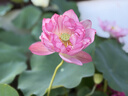 小甄菌鲜奢华海臻盛宴海产菌菇礼盒 海参鲍鱼中秋节送礼高端送长辈礼品 实拍图