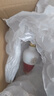 五粮液1618 浓香型 52度 50ml 单瓶装（品鉴酒介意勿拍）(新老包装发货) 实拍图
