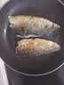 禧美海产冷冻挪威青花鱼净重2斤/袋 整鱼2-3条 鲭鱼  露营 烧烤食材 实拍图