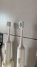 东耐伦 适配小米米家电动牙刷头适配T300/T500/T501/T700/T200/T301/T302柔软毛清洁通用替换刷头牙刷头 6支 适配小米米家T200日常型 实拍图