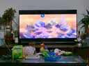 TCL雷鸟电视55英寸雀4 144Hz高刷 2+32GB 无开机广告 自定义遥控器 电视55F270C-JN 实拍图