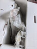 迈多米儿童滑板车1-3-6岁三合一可坐可滑可折叠轻便多功能周岁礼物 M6粉色遮阳棚款+全包坐垫 实拍图