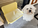 HELLOJOY狗狗厕所中小型犬防踩屎尿盆宠物用品小狗狗砂盆拉屎便盆专用大号 实拍图