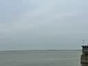 欧乐B成人电动牙刷头原装12支装 EB20 RX-12精准清洁X型刷头12支 适用成人D/P/Pro系列【正品刷头】 实拍图