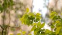 适马（SIGMA）56mm F1.4 DC DN｜Contemporary 半画幅大光圈定焦镜头 人像特写（适马56 f1.4索尼E卡口） 实拍图