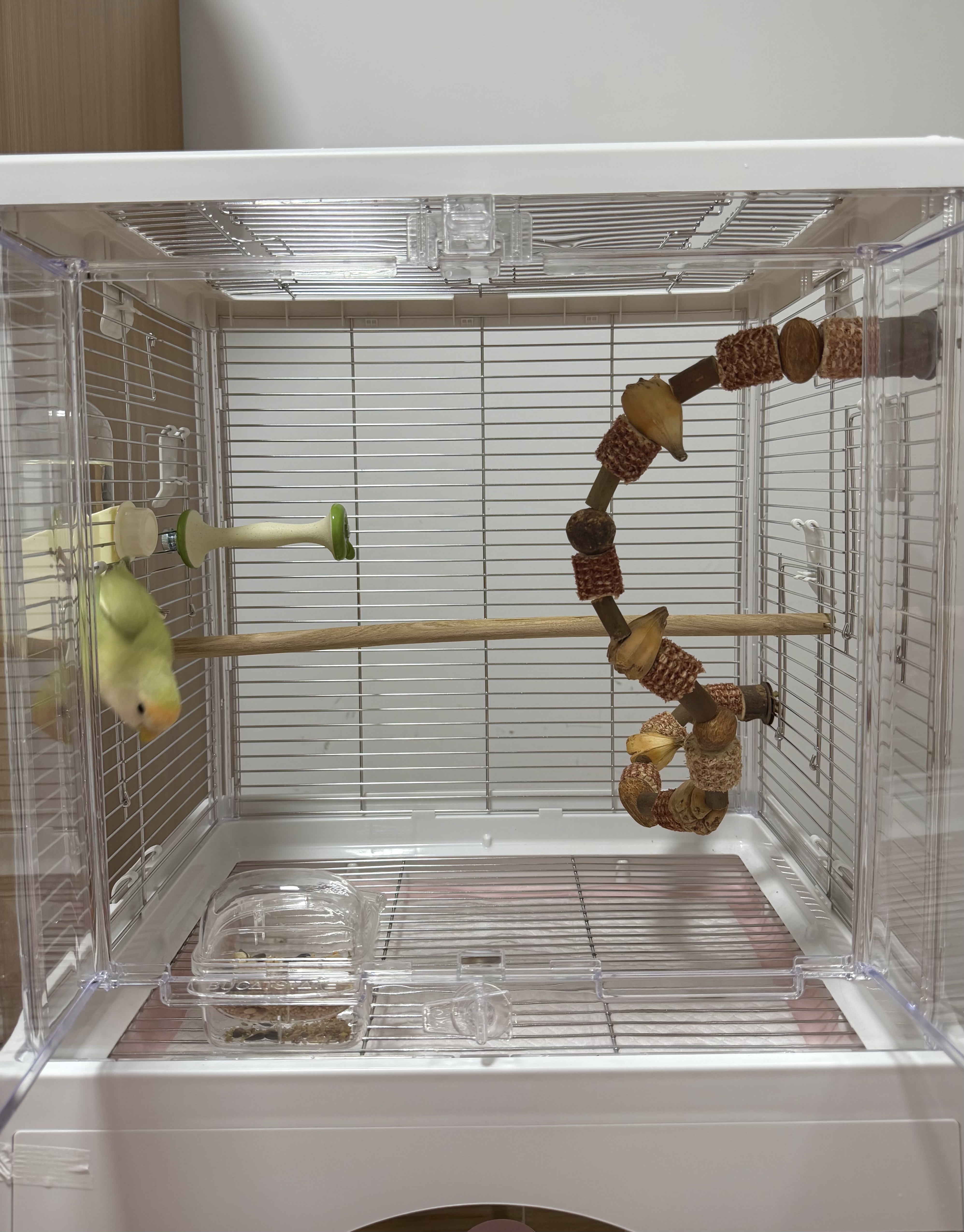 布卡星50星赏不锈钢鸟笼虎皮玄凤鹦鹉鸽子笼豪华别墅家用大号鸟笼子 实拍图