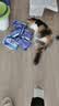 雷米高（RAMICAL） 猫粮猫猫主食主粮幼猫成猫海洋鱼味全价猫粮500g*5 实拍图