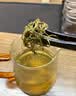 XIANGXINYI张家界莓茶芽尖茅岩莓湘西土家搭恩施来凤高山藤茶送长辈 60g/罐【多买更划算】 实拍图
