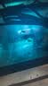 鲸与光鱼池杀菌灯潜水式紫外线灯鱼缸水族箱除藻灯户外uv消毒防水  水族杀菌灯  升级2代 实拍图