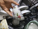 栗上【爆品】栗上胶囊式洗碗机小型台式水槽自动免安装母婴除菌极窄R1 水箱版标配【免安装】 实拍图