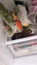 无筋豆约300g(豆王) 实拍图