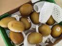佳沛（zespri）新西兰阳光金奇异果10粒巨大果单果146-175g 猕猴桃水果礼盒 实拍图