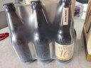 摆谱16度艾尔白啤500ml*6瓶 比利时风味 精酿啤酒 全麦酿造小麦白啤 【风味进阶】艾尔白啤 500mL 6瓶 整箱装 实拍图