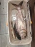 狼王乐钓鱼竿超短伸缩便携路亚竿迷你小路亚竿马口竿抛竿海竿水滴轮全套装 直柄1.6米+狼王乐钓3000纺车轮+礼品 实拍图