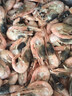 禧美海产黑头北极甜虾10斤 90-120+规格 源头直发海藻头 原箱 水产海鲜 实拍图