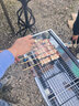 原始人 烧烤木炭家用室内碳取暖整箱机制碳速燃竹炭块 无烟环保竹炭3斤+引火块+碳夹 实拍图