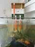 鱼缸黄水过滤清洁神器水族箱吸色片透水净水材料过滤器吸色纸 净水片【买20片送30片】50片装 实拍图