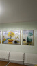诗六艺家饰客厅装饰画北欧现代简约沙发背景墙挂画三联画大气轻奢壁画晶瓷画 富贵有余（铝合金外框） 晶瓷画左右60*80+中间120*80亮面 实拍图