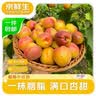 京鲜生 黑金刚莲雾 净重1斤装 5-8个 单果60g起 生鲜水果 实拍图