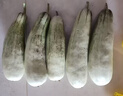 京鲜生 羊角蜜甜瓜 净重4.5斤起 单果300g+ 生鲜水果源头直发 实拍图