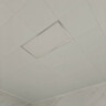 雷士（NVC）厨房灯集成吊顶铝扣板吸顶普瑞灯珠全光谱300×600LED平板面板灯 实拍图