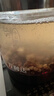 福东海有机非炒熟赤小豆500g 免煮低温烘焙三伏祛湿搭薏米红小豆杂粮粥 实拍图