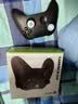 XBOX微软Xbox Series S/X无线Xbox手柄 XSS XSX 蓝牙游戏手柄 PC电脑 Xbox手柄 磨砂黑【送线/摆架】 实拍图
