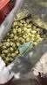 贡苑茉莉花苞【防碎铁罐125克】广西原产 三伏茉莉花干茶叶泡水喝 实拍图