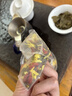 新益号菊花枸杞决明子茶整料三角独立茶包花草茶熬夜日常清润泡水150g 实拍图