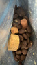 豆柴（docile）经典缤纷冻干狗粮成犬小型犬大型犬犬粮比熊泰迪狗粮试吃40g*5 实拍图