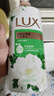 力士（LUX）持久留香72小时香体艾叶止痒山茶香1kg沐浴露男女士金榜 实拍图