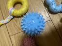 HELLOJOY狗狗玩具球小狗磨牙棒骨头耐咬狗咬胶小型犬宠物用品幼犬自嗨解闷 实拍图