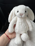 Jellycat害羞乳白色邦尼兔动物毛绒玩偶安抚玩偶娃娃送礼生日礼物 害羞乳白色邦尼兔 Small 实拍图