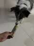 森普特犬瘟检测试纸狗狗犬瘟热细小犬冠状病毒检测纸猫狗狂犬病毒检测卡 犬瘟+细小+犬冠检测套餐 1支*3盒 实拍图