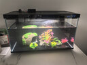 萌嘟星宠仿真水草鱼缸造景套装水族箱布景装饰摆件假植塑料假水草 11件套 实拍图