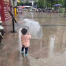 透明雨伞韩版雨伞ins雨伞长柄雨伞网红加厚学生女小清新高级雨伞 透明雨伞【1把】 实拍图