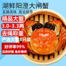 【活蟹】湖鲜阳澄 大闸蟹 去绳足重 3.0-3.3两 8只 鲜活六月黄现货超大螃蟹生鲜礼盒装 实拍图