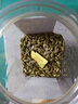 老街口原味南瓜子仁500g/袋大颗饱满无壳南瓜籽仁新货炒货烘培休闲零食 实拍图